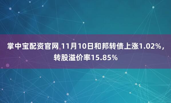 掌中宝配资官网 11月10日和邦转债上涨1.02%，转股溢价率15.85%